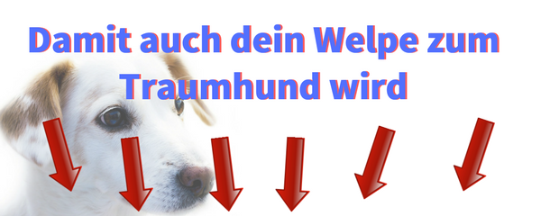 thg-bild2