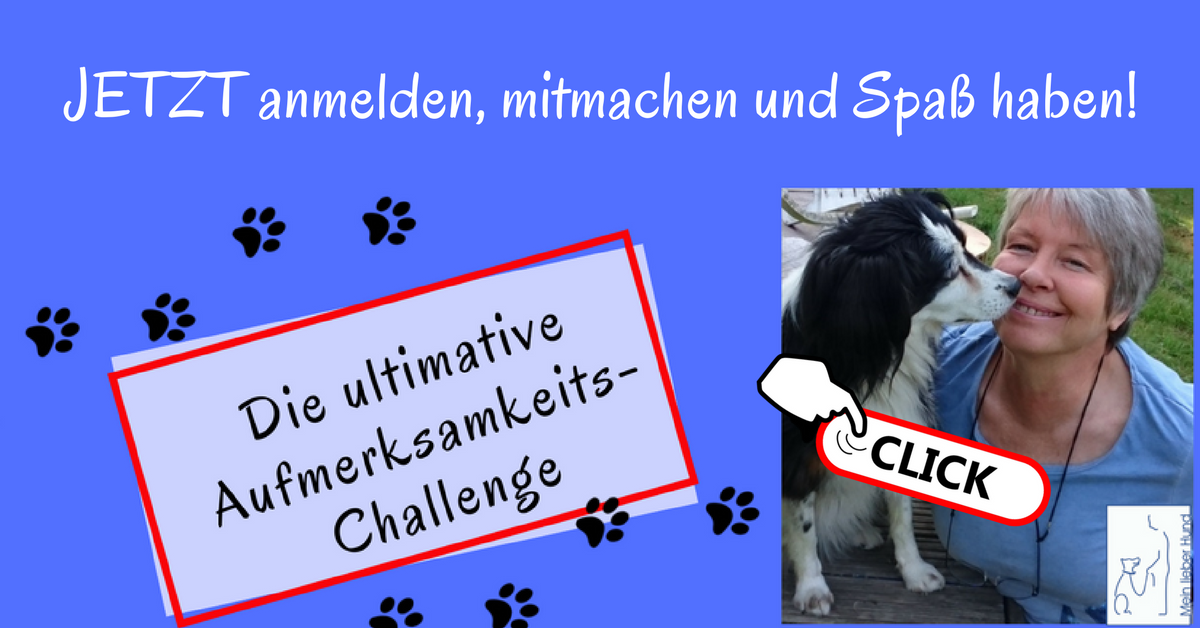 aufmerksamkeits-challenge-fb-bild-anklickbar Aufmerksamkeitschallenge