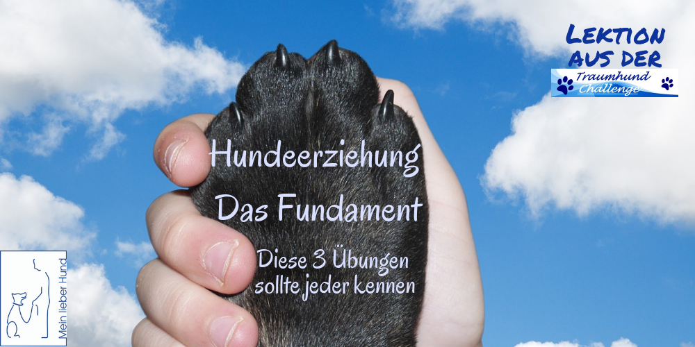 thc-fundament-cover-1000x500 Das Fundament