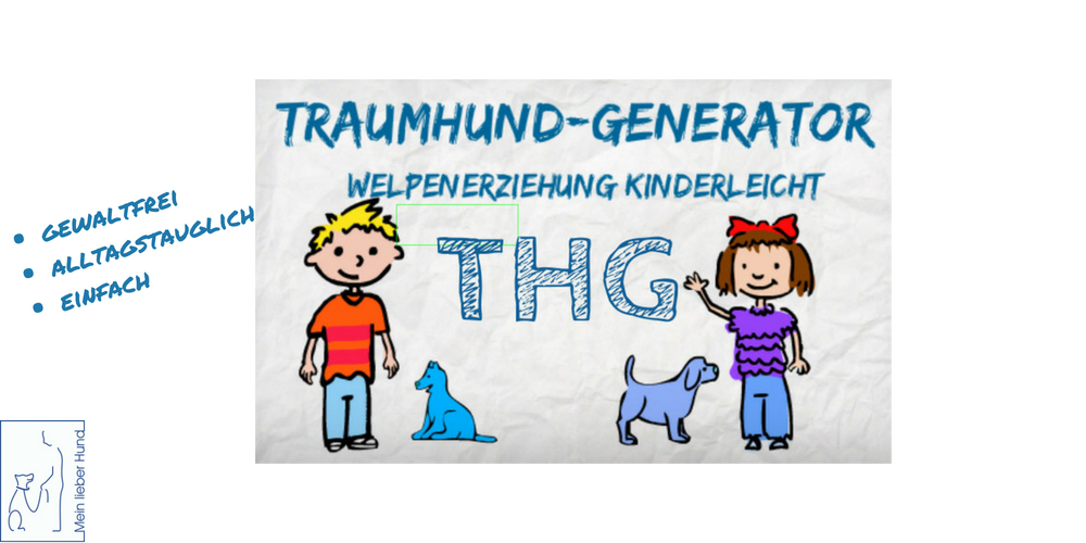 thg-cover-1000x500 Traumhund-Generator