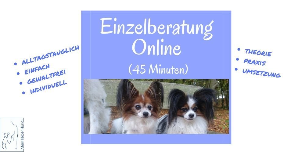 einzelcoaching-online-45-min-1000x500 Einzelberatung online