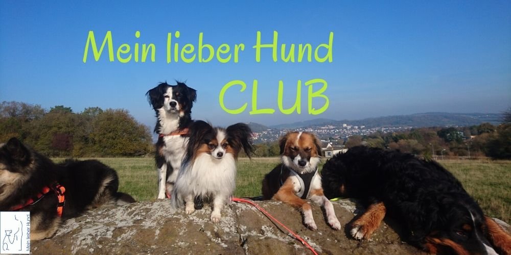 mlhclub-1000x500 Mein lieber Hund Club
