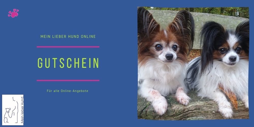mlhgutschein-1000x500 Gutschein