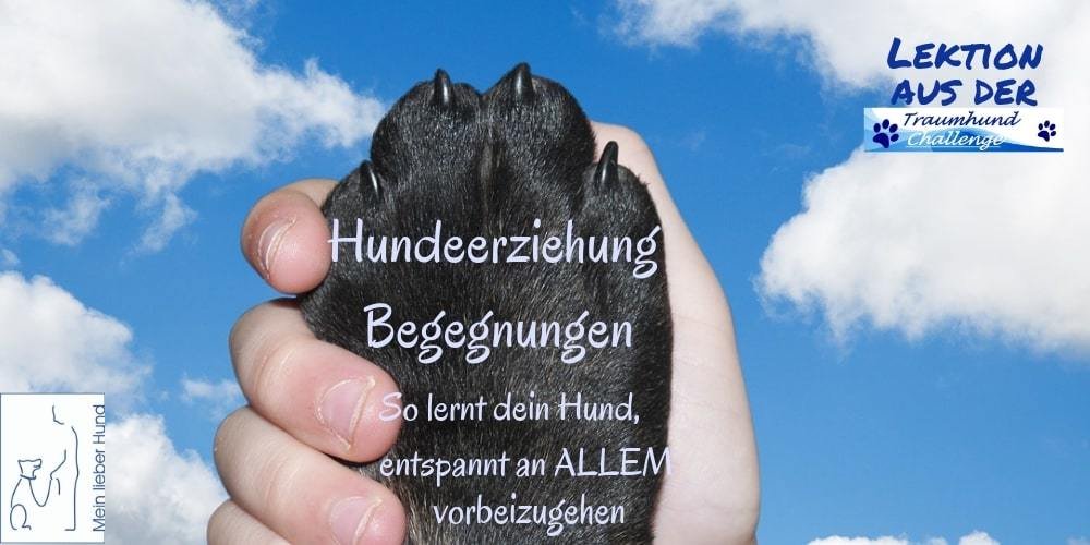 thc-begegnungen-cover-1000x500-min Entspannt Begegnen