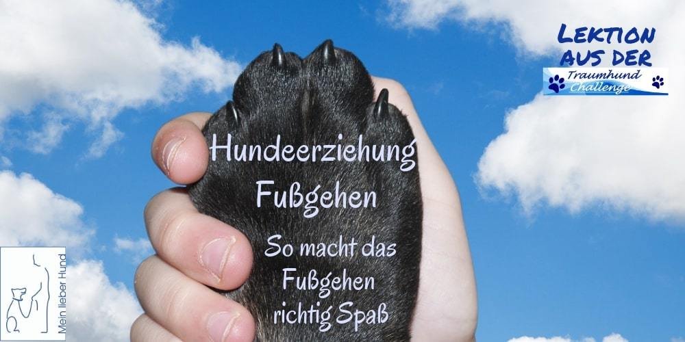 thc-fussgehen-1000x500-min Fußgehen