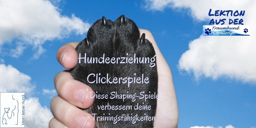 thc-shapingspiele-1000x500-min Clickerspiele