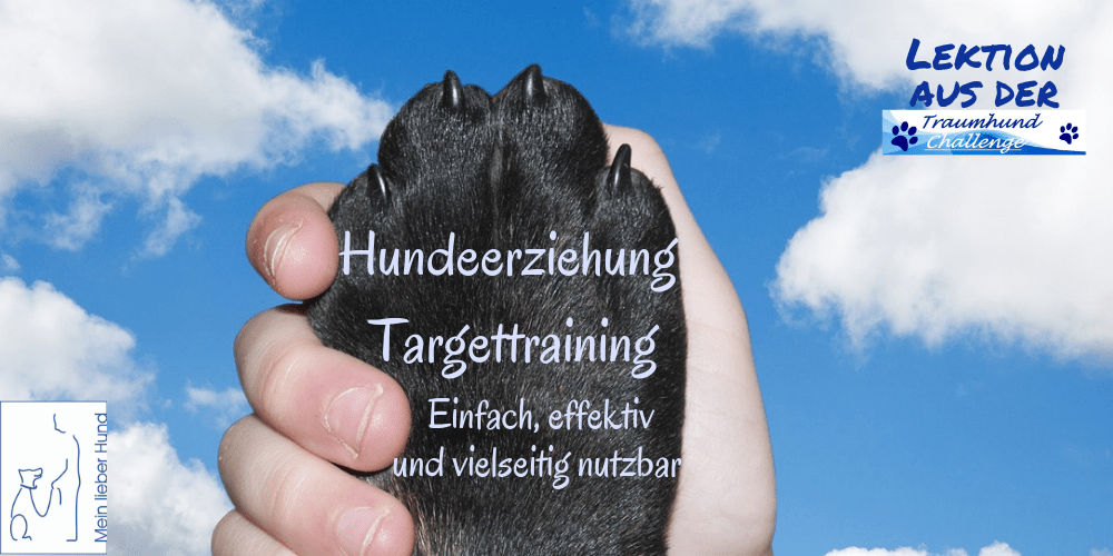 thc-targettraining-1000x500-min Targettraining