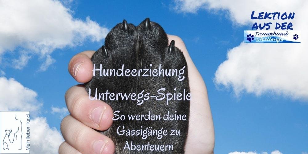 thc-unterwegs-spiele-1000x500-min Unterwegs wird es spannend