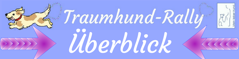 Traumhund-Rally Überblick