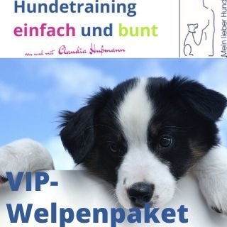 Unsere Top Produkte - Suchen Sie auf dieser Seite die Mein hund dein hund Ihren Wünschen entsprechend